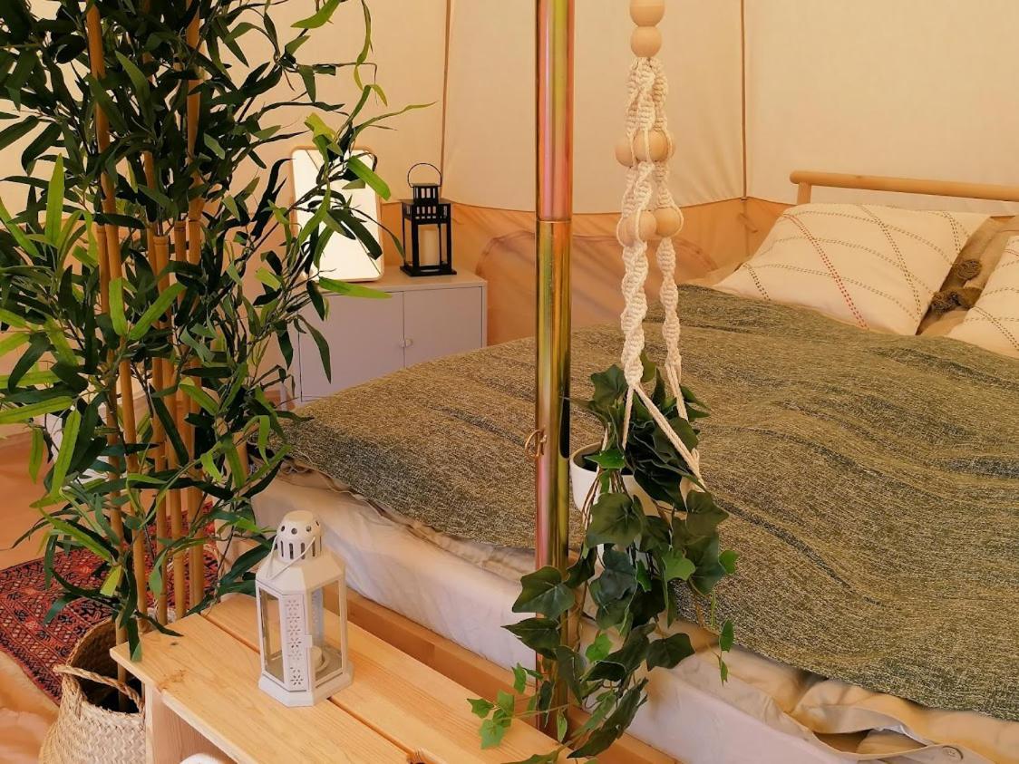 Gjøl Guesthouse Gjoel المظهر الخارجي الصورة