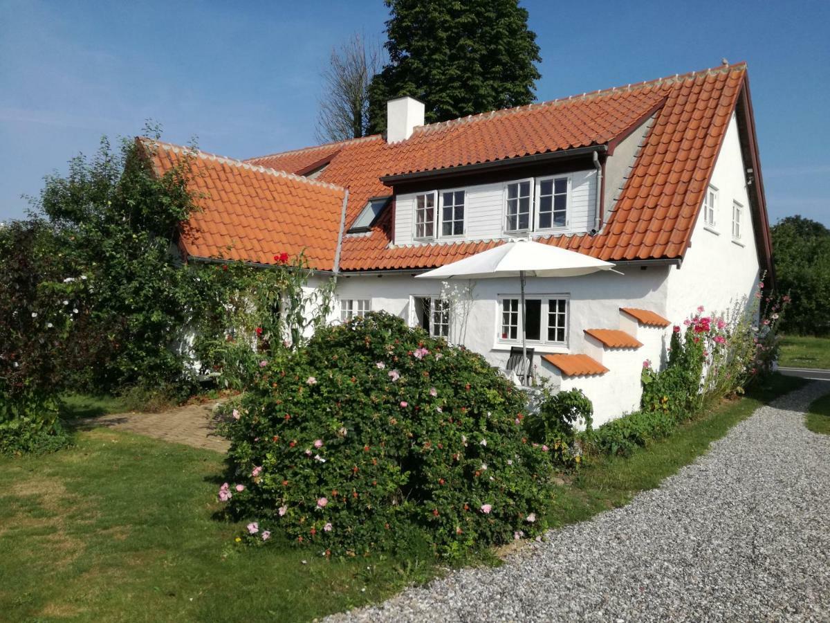 Gjøl Guesthouse Gjoel المظهر الخارجي الصورة